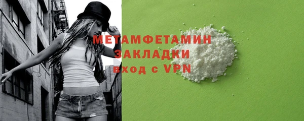 прущие грибы Михайлов