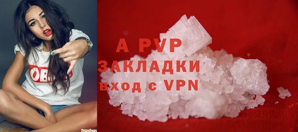 прущие грибы Михайлов