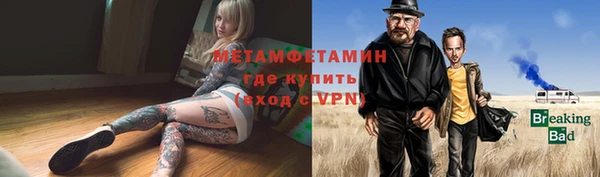 прущие грибы Михайлов