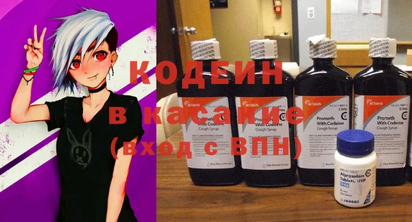 прущие грибы Михайлов