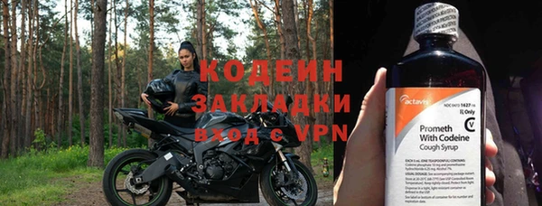 прущие грибы Михайлов