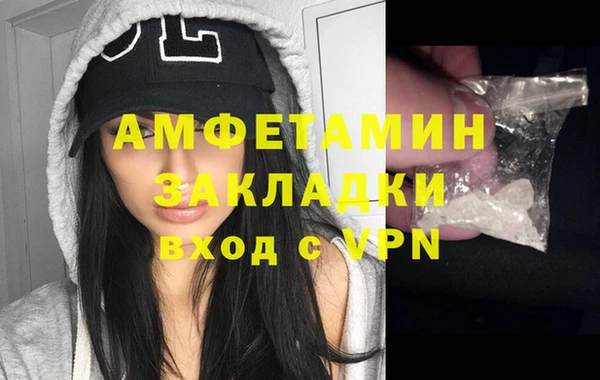прущие грибы Михайлов