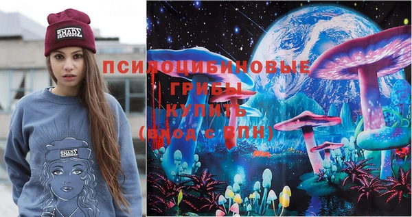 прущие грибы Михайлов