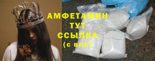 прущие грибы Михайлов