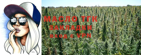 прущие грибы Михайлов