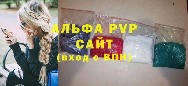прущие грибы Михайлов