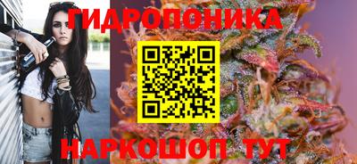 ПСИЛОЦИБИНОВЫЕ ГРИБЫ Апшеронск