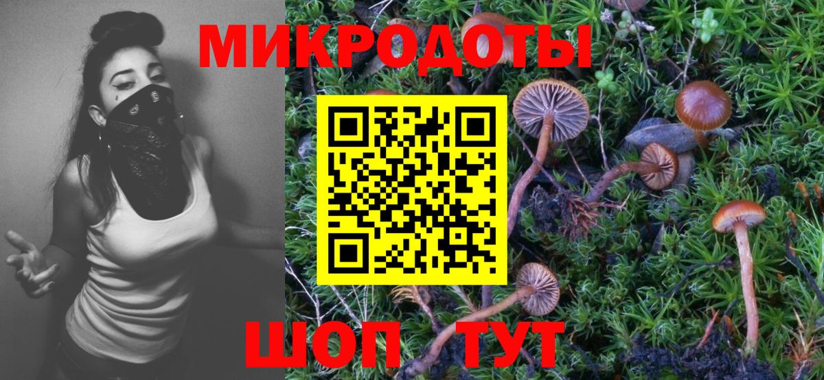 Псилоцибиновые грибы GOLDEN TEACHER  Вход с VPN  Галлюциногенные грибы Psilocybine cubensis  Волгоград 