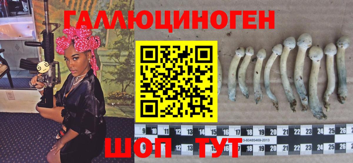 Псилоцибиновые грибы GOLDEN TEACHER  Волгоград  Псилоцибиновые грибы Psilocybine cubensis 